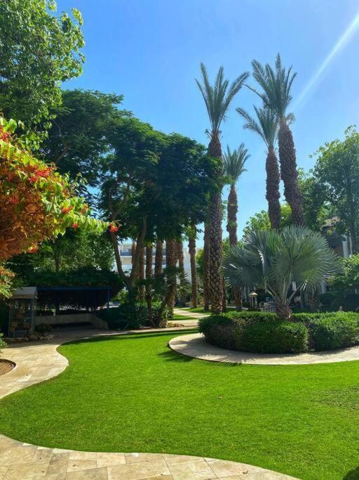 The Royal Park Experience Amazing Pool * אילת